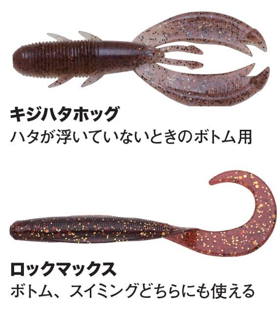 オオモンハタ、アカハタ、キジハタをジグヘッドで釣り分ける方法 | 魚種別釣りガイド